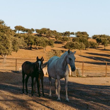 Отель Herdade Da Caniceira Ervedal Экстерьер фото